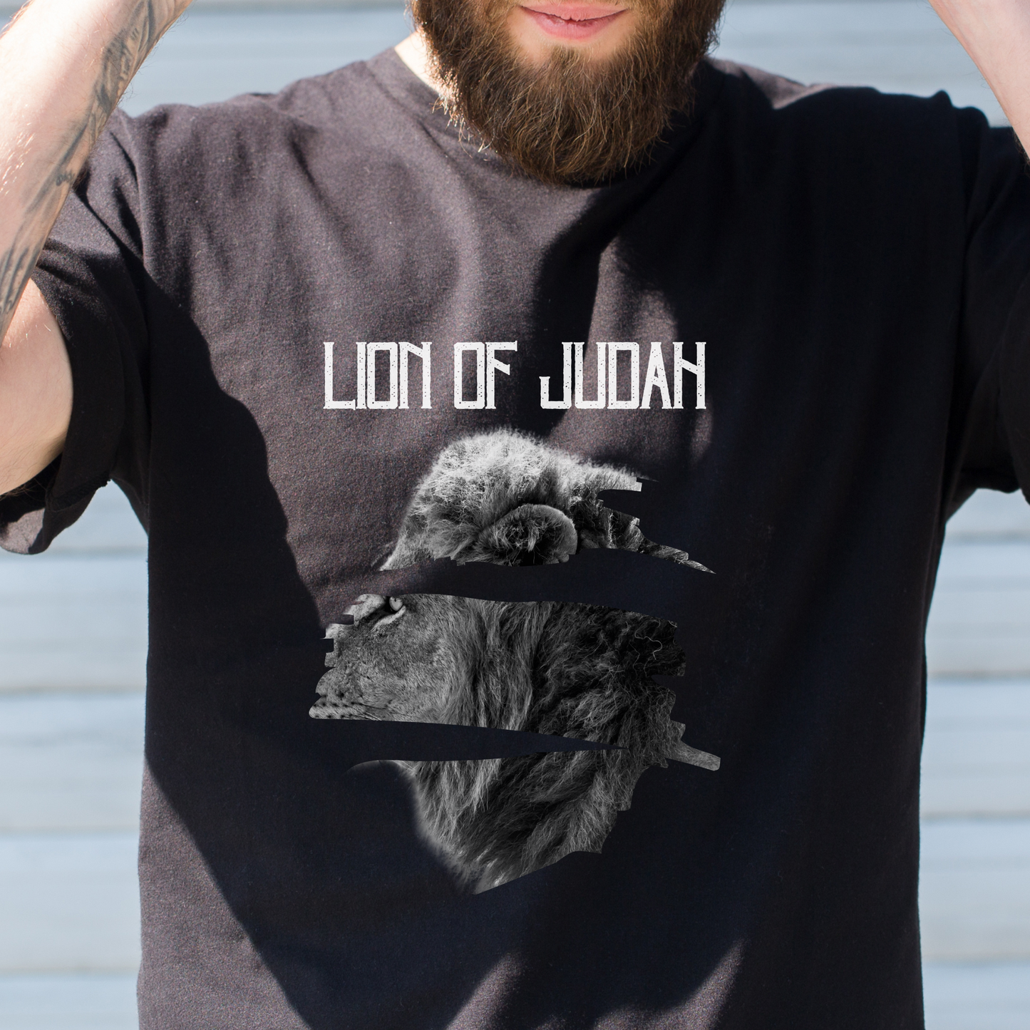 Lion of Judah- Revelation 5:5