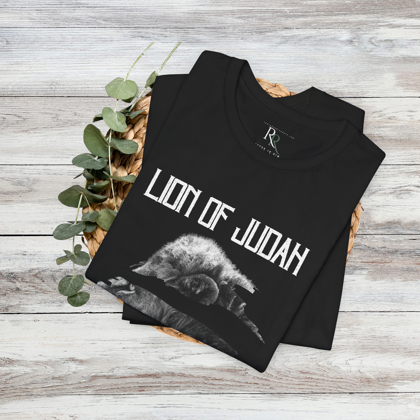 Lion of Judah- Revelation 5:5