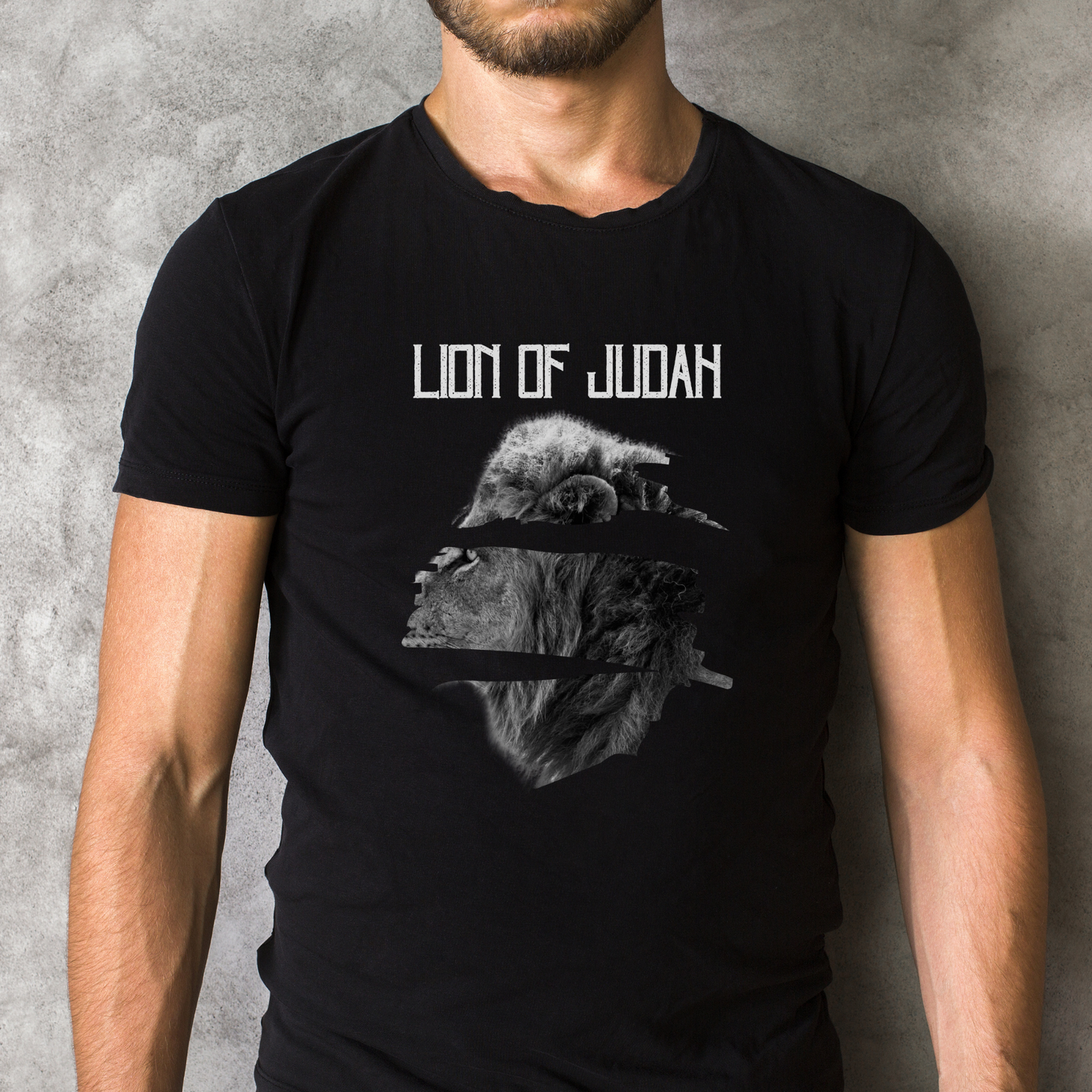 Lion of Judah- Revelation 5:5