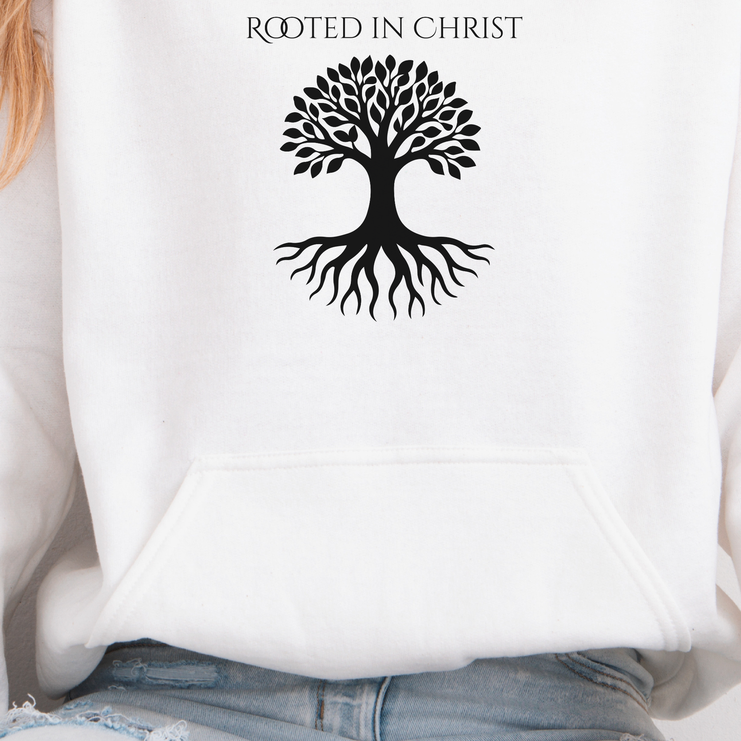 Christian Hoodie- (Colossians 2:6–7 & Matthew 1:23)