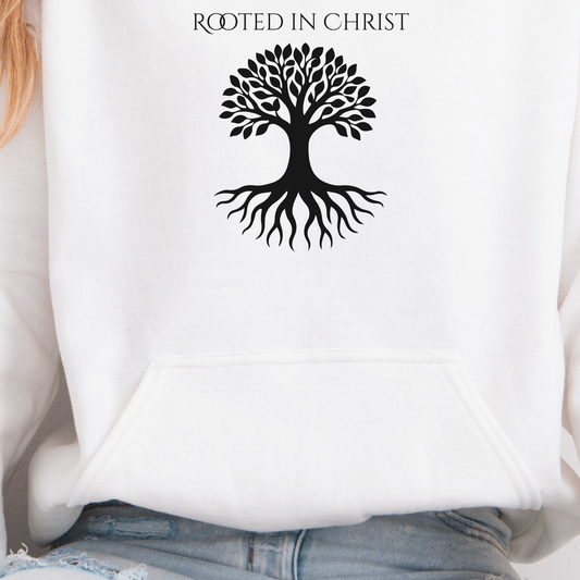 Christian Hoodie- (Colossians 2:6–7 & Matthew 1:23)